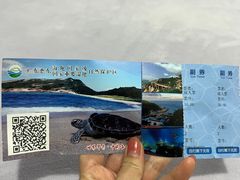 -广东惠东海龟国家级自然保护区