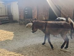 -HERRE·FARM 赫尔露营农场·团建聚会包场