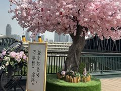 -武汉知音号