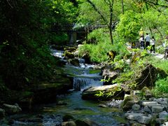 -鹿院坪生态旅游景区