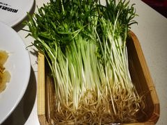 -阳坊胜利涮羊肉(阳坊老店)