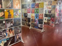 -树懒黑胶唱片店(中山路店)