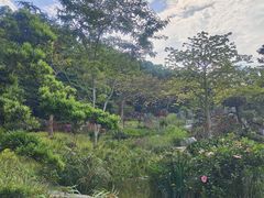 -东莞植物园