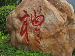 -水濂山森林公园