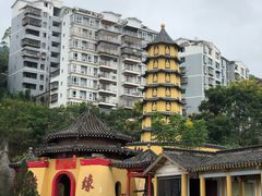 -美心红酒小镇游乐园