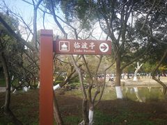 -瀛洲公园