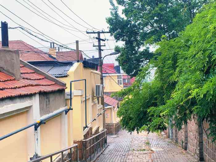 鱼山路-"大学路,鱼山路转角,金黄色的琉璃瓦,朱红."-大众点评移动版