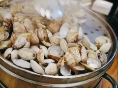 清蒸蛤蜊-九层海鲜塔(市南店)