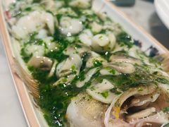 -蝶园·装修中(BFC外滩金融中心店)