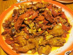 -柴窝堡22号辣子鸡·传承新疆菜