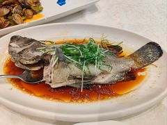 -大东海海鲜酒楼(渔人码头总店)