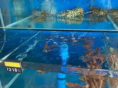 -岛中岛·海鲜大排档·万宁老字号(东澳店)