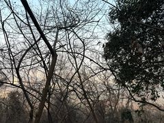 -大蜀山国家森林公园