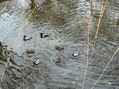 -元大都城垣遗址公园