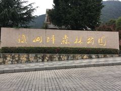 -铁山坪森林公园