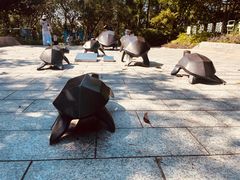 -广东惠东海龟国家级自然保护区