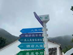 -杨梅坑