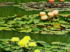 -国家植物园南园