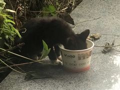 -坂田(地铁站)
