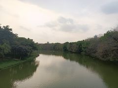 -海珠湖公园