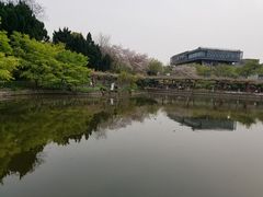 -嘉定紫藤园