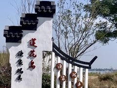 -莲花岛景区