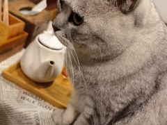 -隅cafe(傅厚岗店)