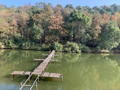 -汉中天台国家森林公园