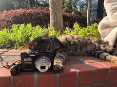 -川渝又一村火锅烤肉自助(步行街店)