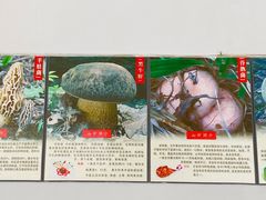 -江川野生菌火锅铜锅鱼(贵清火锅店)