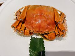 -苏小柳点心·手作小笼包(新街口分院店)