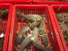 -79号渔船海鲜饭店(华强北店)