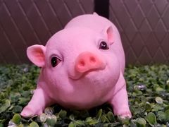 -七鲜超市(万向城店)