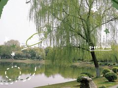 -堤角公园