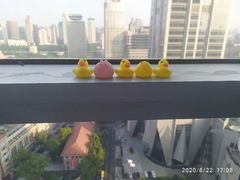 -新航道雅思托福·留学·考研培训(人民广场校区)