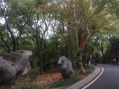 -东湖落雁景区