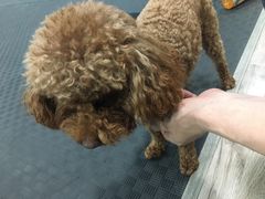 -FIGHTMAN格斗俱乐部(长宁临空店)