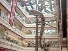 -巴黎春天(浦建店)