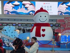 -哈尔滨太平国际机场-T2航站楼