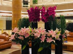 -张家界青和锦江国际酒店