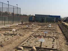 -上海崇明金茂凯悦酒店