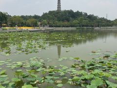 -顺峰山公园