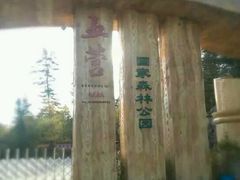 -五营红松林海景区