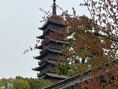 -常熟方塔园