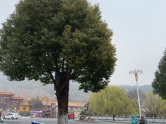 -大伊山景区