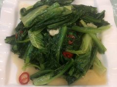 蒜蓉油麦菜-伊阑泽大循化餐厅