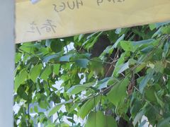-春庄咖啡SpringHues(钟楼小区店)