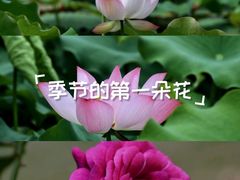 -南宁南湖公园