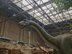 -国家自然博物馆