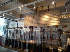 -喜茶(佛山顺德大良东乐路店)